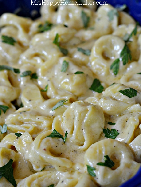 Easy Roasted Garlic Alfredo Tortellini | KeepRecipes: Your Universal
