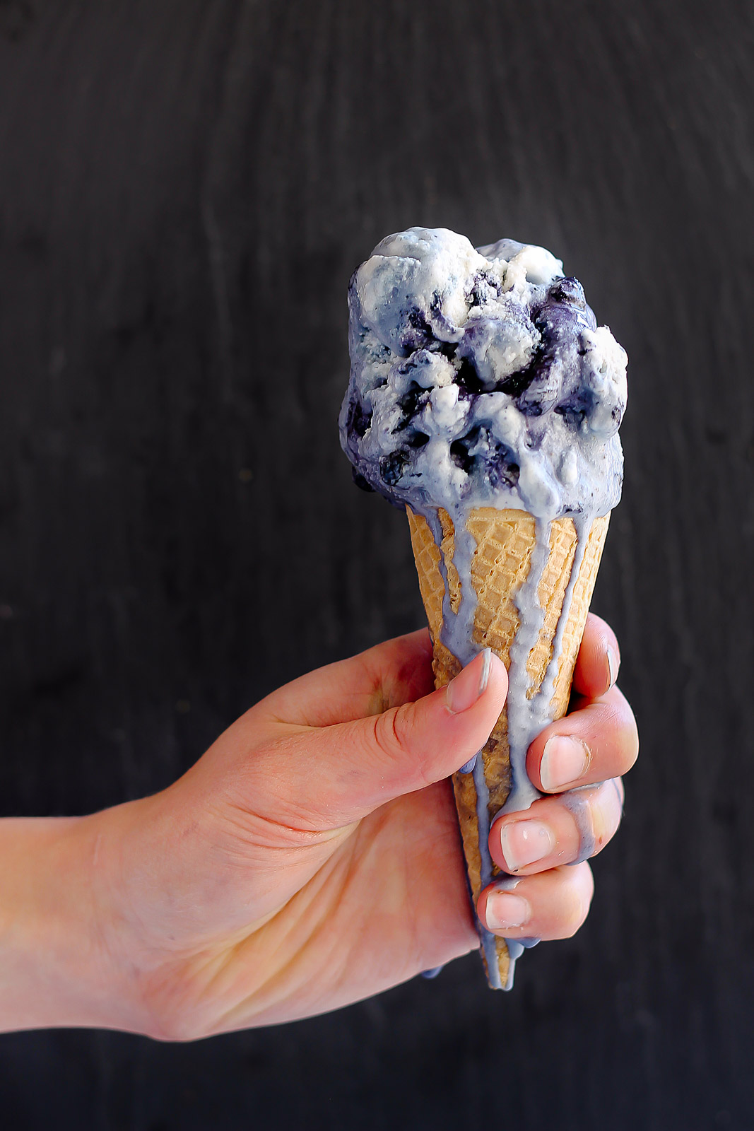 Wild Blueberry Lavender Coconut Ice Cream Keeprecipes Your Universal Recipe Box 